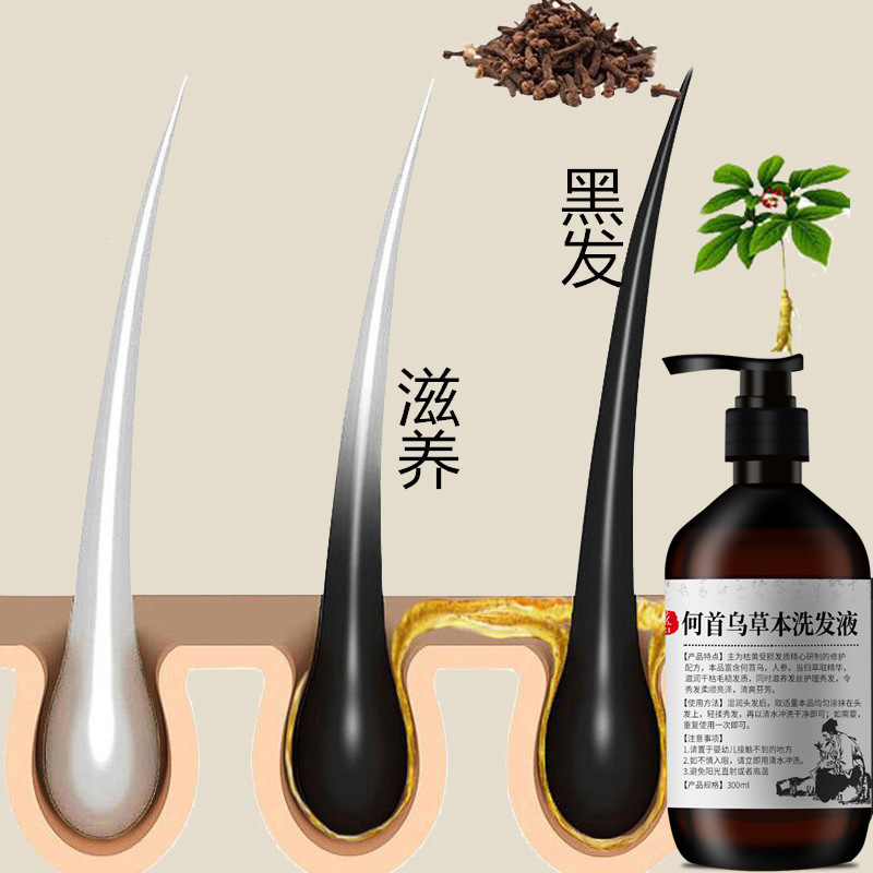 Champú poligonum multiflorum d - Hair Care Herbal reseña y precio